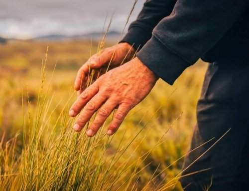 Aventura Táctil – Nuevo Tema en ¡Qué Belleza!